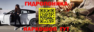 гашик Ирбит