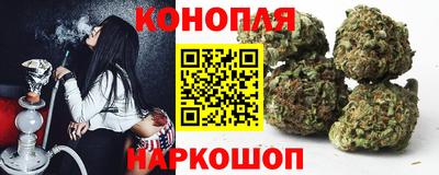 гашик Ирбит