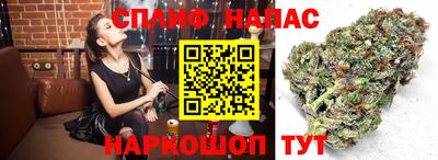 сатива Изобильный