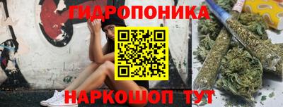 гашик Ирбит