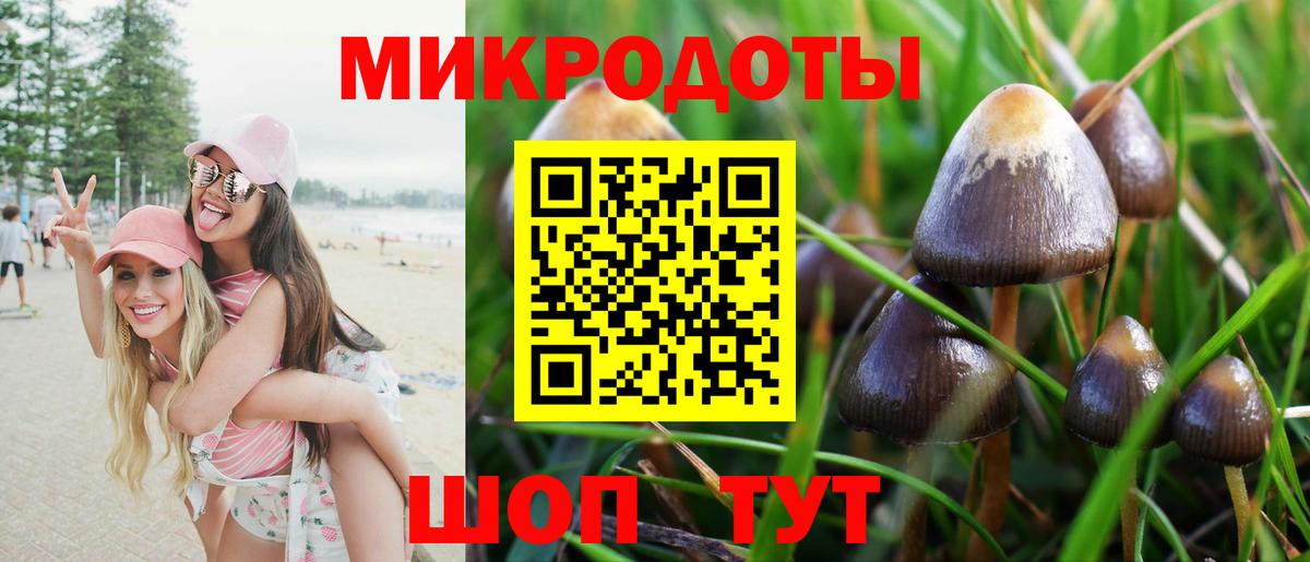 Карасук  где найти   Псилоцибиновые грибы MAGIC MUSHROOMS  Вход с VPN  Галлюциногенные грибы Magic Shrooms 
