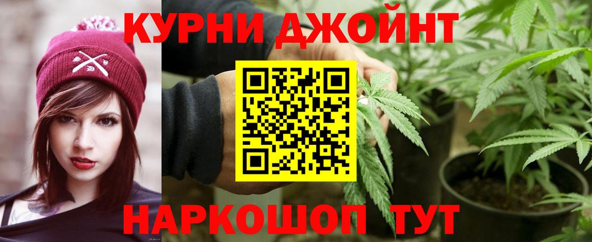 Каннабис конопля Карасук